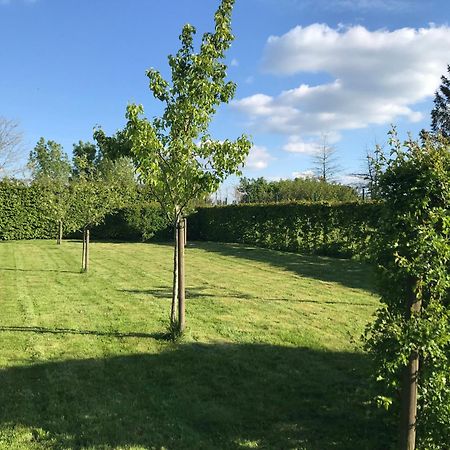 The Suite Escape Suite Wood Sint-Lievens-Houtem Εξωτερικό φωτογραφία