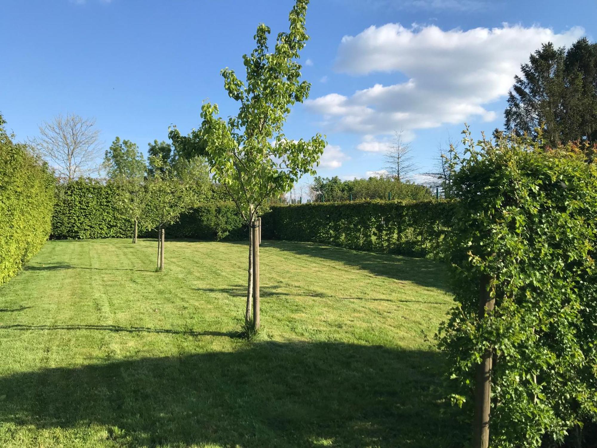 The Suite Escape Suite Wood Sint-Lievens-Houtem Εξωτερικό φωτογραφία